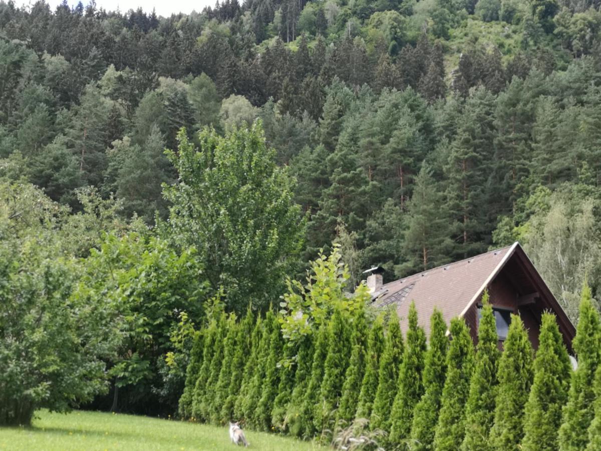 Villa Karnten 라덴테인 외부 사진